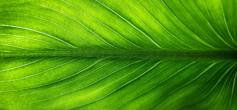 Environment-Friendly Tips